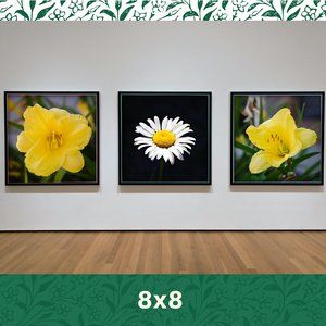 Contemporary flowerartwork Lilly Daisy wall art